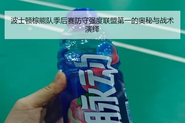 波士顿棕熊队季后赛防守强度联盟第一的奥秘与战术演绎