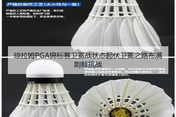 琼拉姆PGA锦标赛卫冕战状态起伏卫冕之路布满荆棘挑战