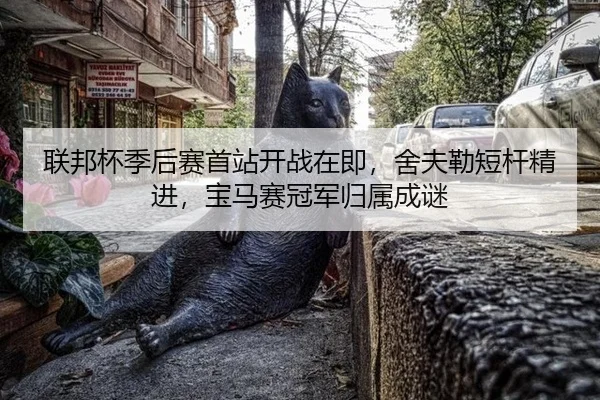 联邦杯季后赛首站开战在即，舍夫勒短杆精进，宝马赛冠军归属成谜
