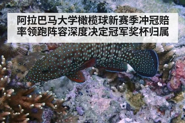 阿拉巴马大学橄榄球新赛季冲冠赔率领跑阵容深度决定冠军奖杯归属
