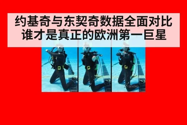 约基奇与东契奇数据全面对比谁才是真正的欧洲第一巨星